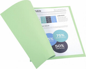 Kartona mape Forever A4 , gaiši zaļā krāsā (100 gb.) cena un informācija | Kancelejas preces | 220.lv