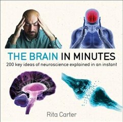 The Brain in Minutes cena un informācija | Ekonomikas grāmatas | 220.lv