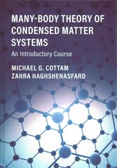 Many-Body Theory of Condensed Matter Systems: An Introductory Course cena un informācija | Ekonomikas grāmatas | 220.lv