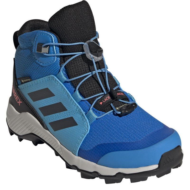 Pārgājienu apavi bērniem Adidas Terrex Mid Gtx K Jr GY7682, zili цена и информация | Bērnu zābaki | 220.lv