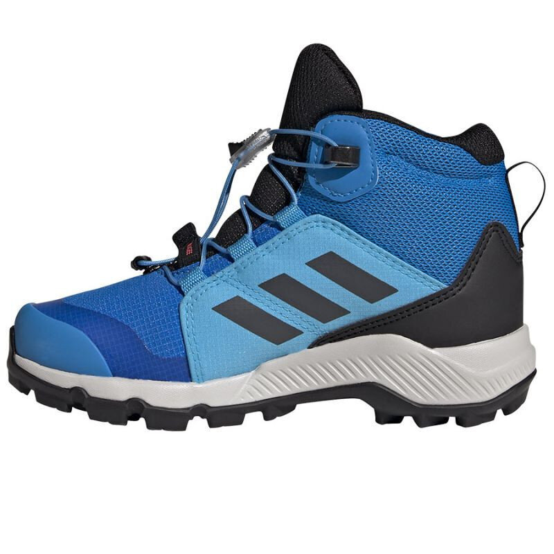 Pārgājienu apavi bērniem Adidas Terrex Mid Gtx K Jr GY7682, zili цена и информация | Bērnu zābaki | 220.lv