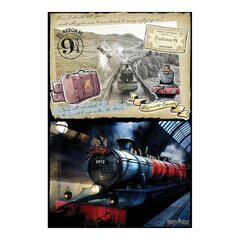 Головоломка Harry Potter Hogwarts Express Harry Potter Scratch Off, 500 деталей цена и информация | Пазлы | 220.lv