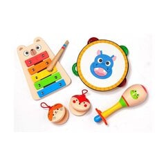 Музыкальная игрушка Moltó, музыкальный набор цена и информация | Развивающие игрушки | 220.lv
