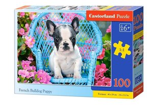 Castorland Bulldog Puppy Puzzle, 100 gabaliņi cena un informācija | Puzles, 3D puzles | 220.lv