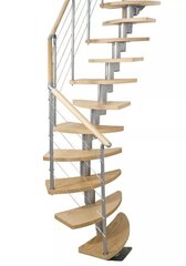 Модульная лестница DOLLE Rome, высота комплекта: 277 - 345 см цена и информация | Лестницы | 220.lv