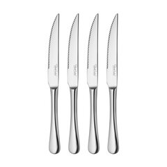 Набор ножей для стейка Radford, 4 шт. цена и информация | Ножи и аксессуары для них | 220.lv