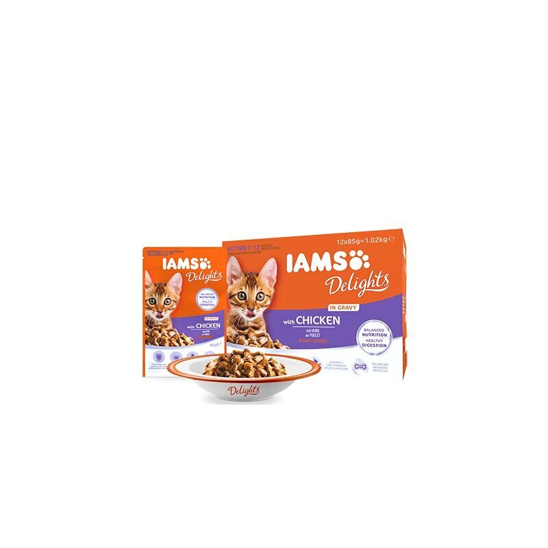 Mitrā barība kaķiem ar vistu Iams Kitten, 85 g cena un informācija | Konservi kaķiem | 220.lv