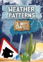 Weather Patterns цена и информация | Книги для подростков и молодежи | 220.lv