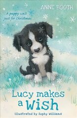 Lucy Makes a Wish цена и информация | Книги для подростков и молодежи | 220.lv