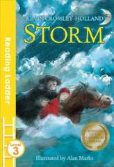 Storm 2nd edition cena un informācija | Grāmatas pusaudžiem un jauniešiem | 220.lv