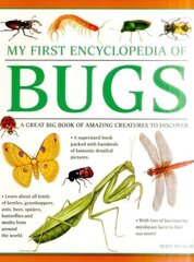 My First Encyclopedia of Bugs (giant Size): A First Encyclopedia with Supersize Pictures цена и информация | Книги для подростков и молодежи | 220.lv