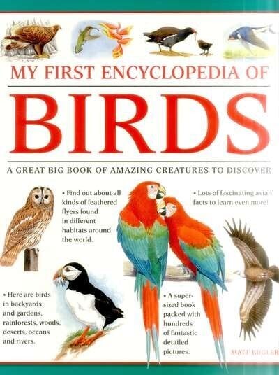 My First Encylopedia of Birds (giant Size): A First Encyclopedia with Supersize Pictures цена и информация | Grāmatas pusaudžiem un jauniešiem | 220.lv