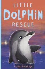 Little Dolphin Rescue цена и информация | Книги для подростков  | 220.lv