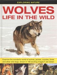 Exploring Nature: Wolves - Life in the Wild: Examine the Wonderful World of Wolves, Jackals, Coyotes, Foxes and Other Wild Dogs, Shown in 190 Exciting Images cena un informācija | Grāmatas pusaudžiem un jauniešiem | 220.lv