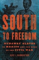 South to Freedom: Runaway Slaves to Mexico and the Road to the Civil War цена и информация | Исторические книги | 220.lv
