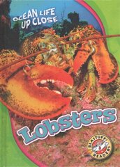 Lobsters цена и информация | Книги для подростков и молодежи | 220.lv
