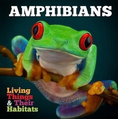 Amphibians цена и информация | Книги для подростков и молодежи | 220.lv