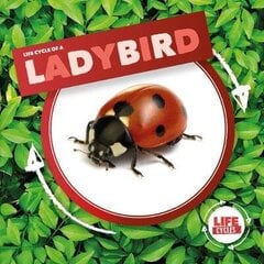 Ladybird cena un informācija | Grāmatas pusaudžiem un jauniešiem | 220.lv