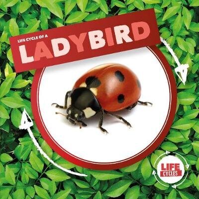 Ladybird cena un informācija | Grāmatas pusaudžiem un jauniešiem | 220.lv