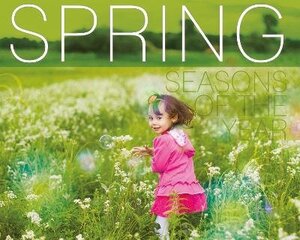 Spring цена и информация | Книги для подростков  | 220.lv