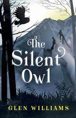 Silent Owl цена и информация | Книги для подростков  | 220.lv