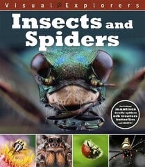 Visual Explorers: Insects and Spiders cena un informācija | Grāmatas pusaudžiem un jauniešiem | 220.lv