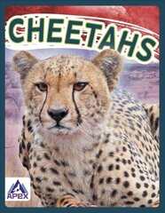 Wild Cats: Cheetahs cena un informācija | Grāmatas pusaudžiem un jauniešiem | 220.lv