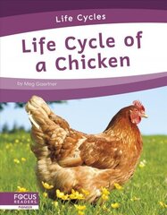 Life Cycles: Life Cycle of a Chicken цена и информация | Книги для подростков и молодежи | 220.lv