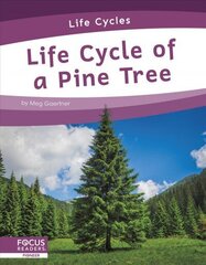 Life Cycles: Life Cycle of a Pine Tree цена и информация | Книги для подростков и молодежи | 220.lv