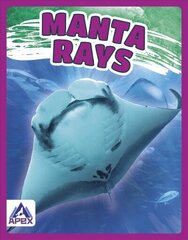 Giants of the Sea: Manta Rays цена и информация | Книги для подростков и молодежи | 220.lv