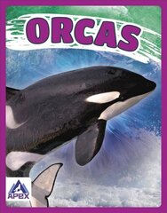 Giants of the Sea: Orcas cena un informācija | Grāmatas pusaudžiem un jauniešiem | 220.lv