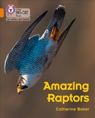 Amazing Raptors: Band 06/Orange цена и информация | Книги для подростков и молодежи | 220.lv