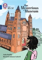 Mysterious Museum: Band 16/Sapphire цена и информация | Книги для подростков и молодежи | 220.lv