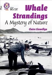 Whale Strandings: A Mystery of Nature: Band 10plus/White Plus цена и информация | Книги для подростков и молодежи | 220.lv
