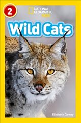 Wild Cats: Level 2 cena un informācija | Grāmatas pusaudžiem un jauniešiem | 220.lv