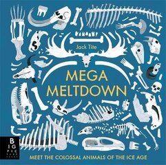 Mega Meltdown цена и информация | Книги для подростков и молодежи | 220.lv