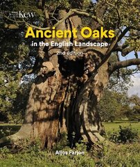 Ancient Oaks in the English Landscape New edition cena un informācija | Enciklopēdijas, uzziņu literatūra | 220.lv