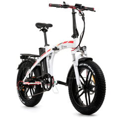 Электрический велосипед Youin BK1600W DUBAI, белый 20" 25 km/h цена и информация | Электровелосипеды | 220.lv