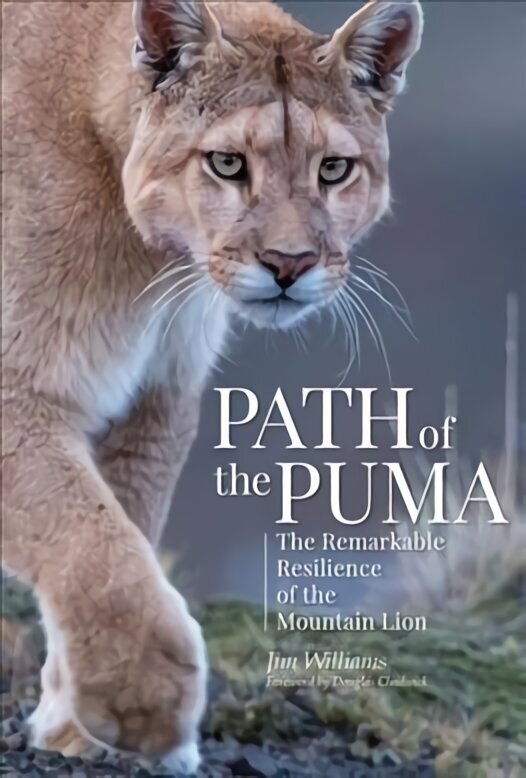 Path of the Puma: The Remarkable Resilience of the Mountain Lion cena un informācija | Grāmatas par veselīgu dzīvesveidu un uzturu | 220.lv