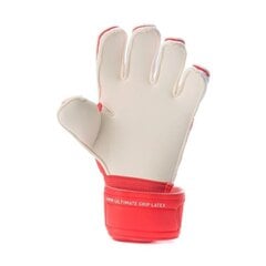 Перчатки вратаря Puma Ultra Grip 1 RC M 041787-01 цена и информация | Puma Спорт, досуг, туризм | 220.lv