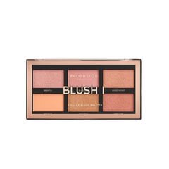 Vaigu sārtuma palete Profusion Blush Palette 1, 15.6 g cena un informācija | Bronzeri, vaigu sārtumi | 220.lv