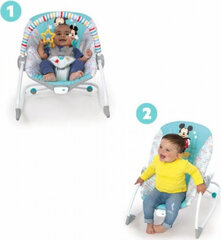 Bright Starts Bērnu Šūpuļkrēsls cena un informācija | Bērnu šūpuļkrēsliņi | 220.lv