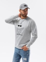 Gaiši pelēks džemperis No ProbLlama B1153-50200-XXL цена и информация | Мужские свитера | 220.lv