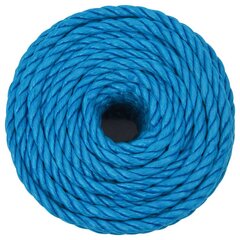vidaXL darba virve, zila, 24 mm, 50 m, polipropilēns cena un informācija | Dārza instrumenti | 220.lv