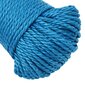 vidaXL darba virve, zila, 3 mm, 100 m, polipropilēns cena un informācija | Dārza instrumenti | 220.lv
