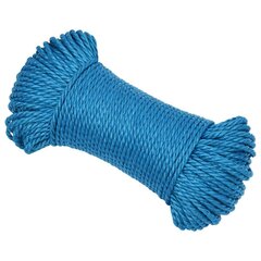 vidaXL darba virve, zila, 6 mm, 250 m, polipropilēns cena un informācija | Dārza instrumenti | 220.lv