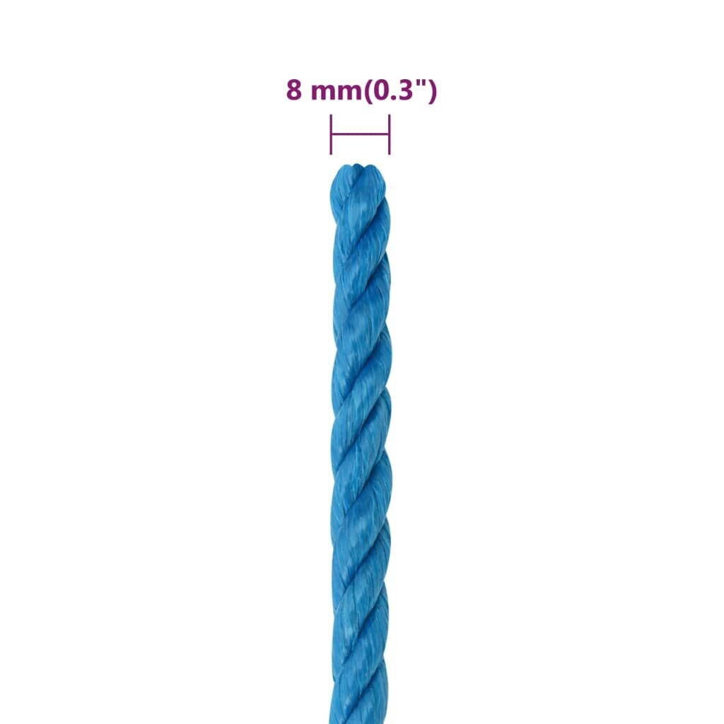 vidaXL darba virve, zila, 8 mm, 100 m, polipropilēns cena un informācija | Dārza instrumenti | 220.lv