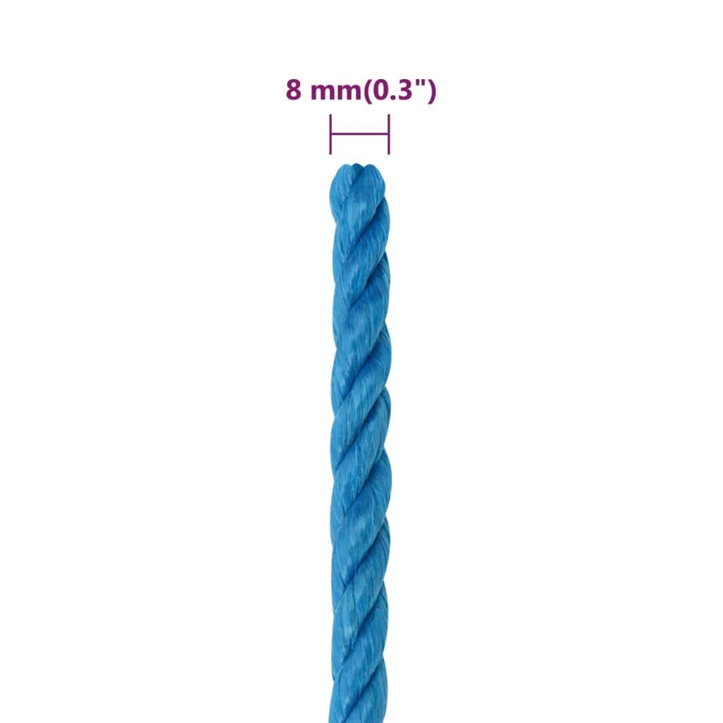 vidaXL darba virve, zila, 8 mm, 25 m, polipropilēns cena un informācija | Dārza instrumenti | 220.lv