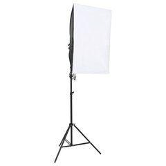 vidaXL profesionālas fotostudijas gaismas, 2 gab., 40x60 cm cena un informācija | Apgaismojums fotografēšanai | 220.lv
