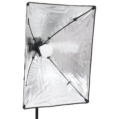 vidaXL profesionālas fotostudijas gaismas, 2 gab., 40x60 cm цена и информация | Осветительное оборудование для фотосъемок | 220.lv